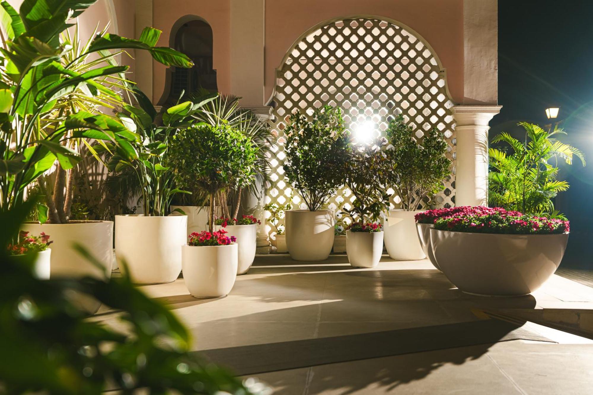 Dlf Club 5 Hotel Gurgaon Exterior photo